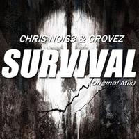 Survival (Original Mix)