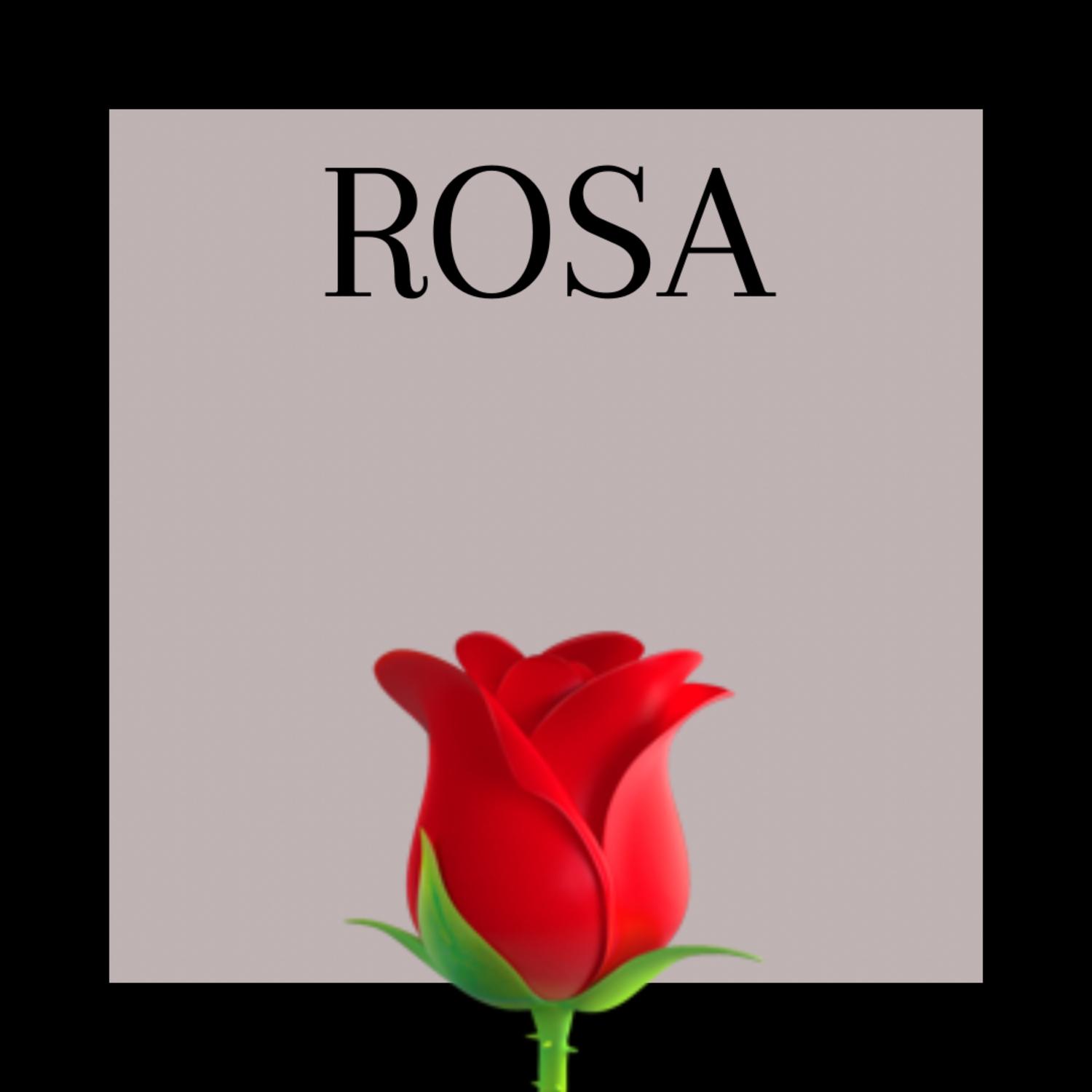 Rosa