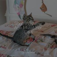 Soothing New Age Music For Cats