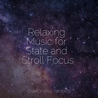 Relaxing Music for State and Stroll Focus