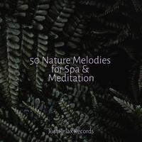 50 Nature Melodies for Spa & Meditation