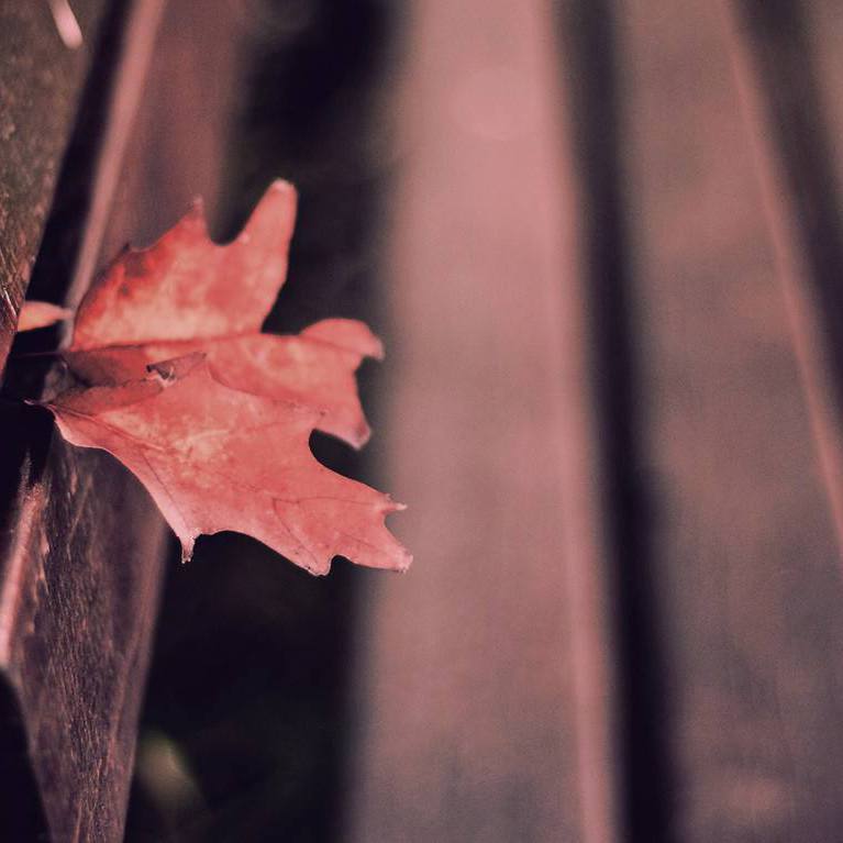 Flowers on the stool