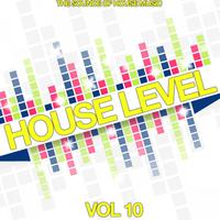 House Level, Vol. 10 (The Sound of House Music)