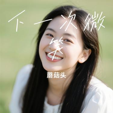下一次微笑封面