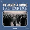 DT James - I See Your Face