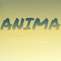 Anima Intruder