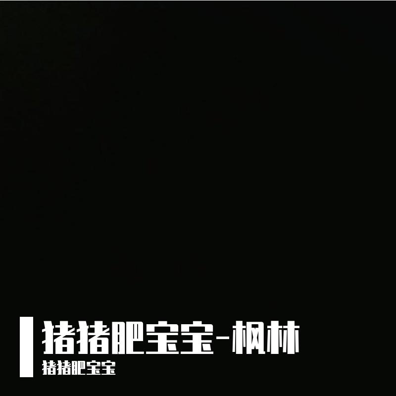 外面的世界封面