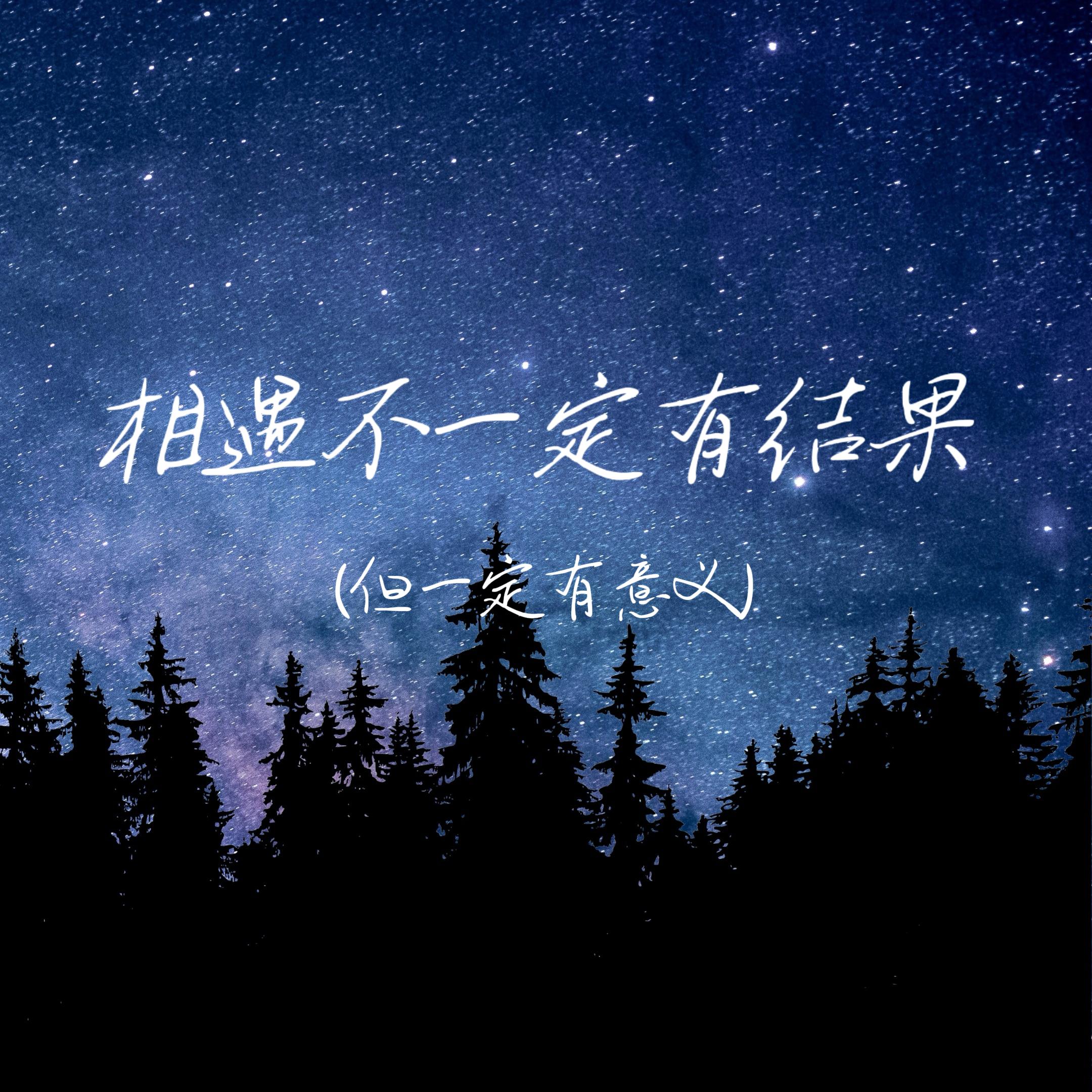 相遇不一定有结果(但一定有意义)封面