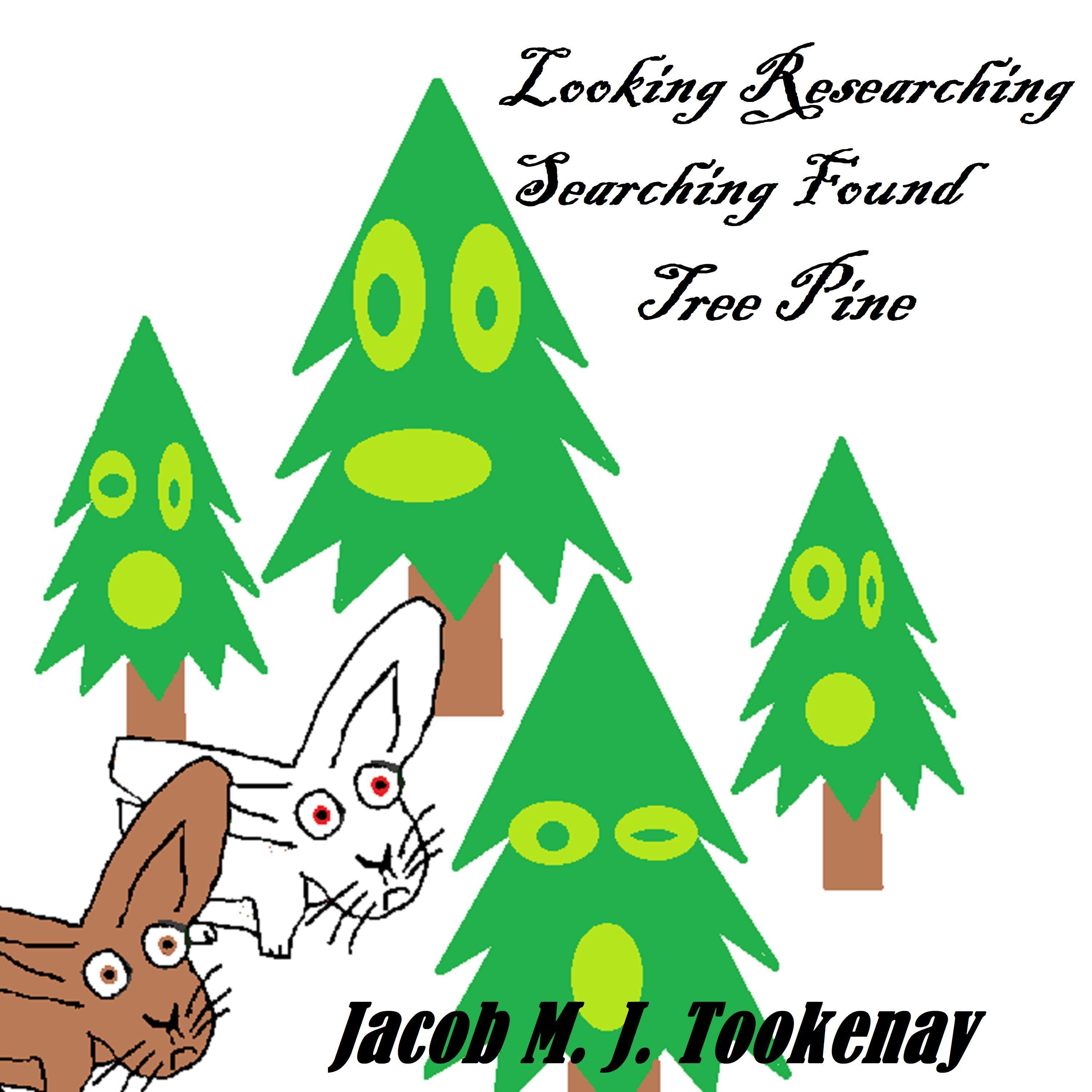 Looking Researching Searching Found Tree Pine