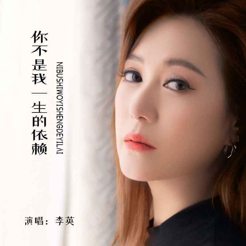 你不是我一生的依赖(DJ版)封面