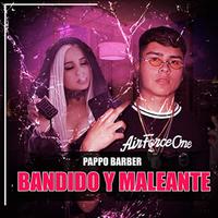 Bandido y Maleante