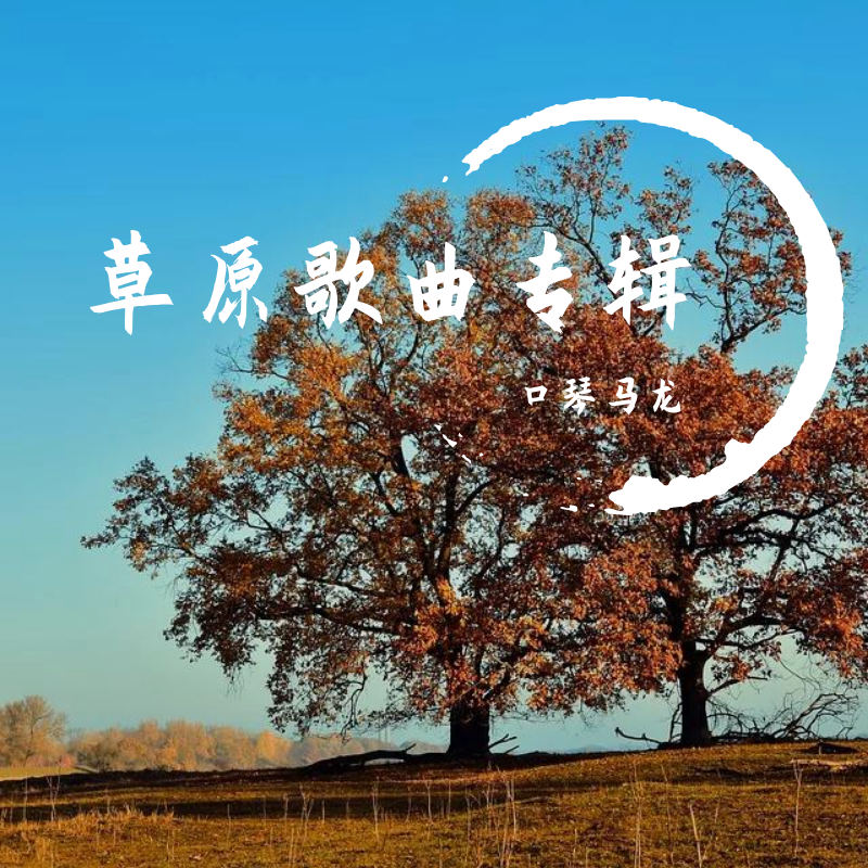 天边的骆驼封面