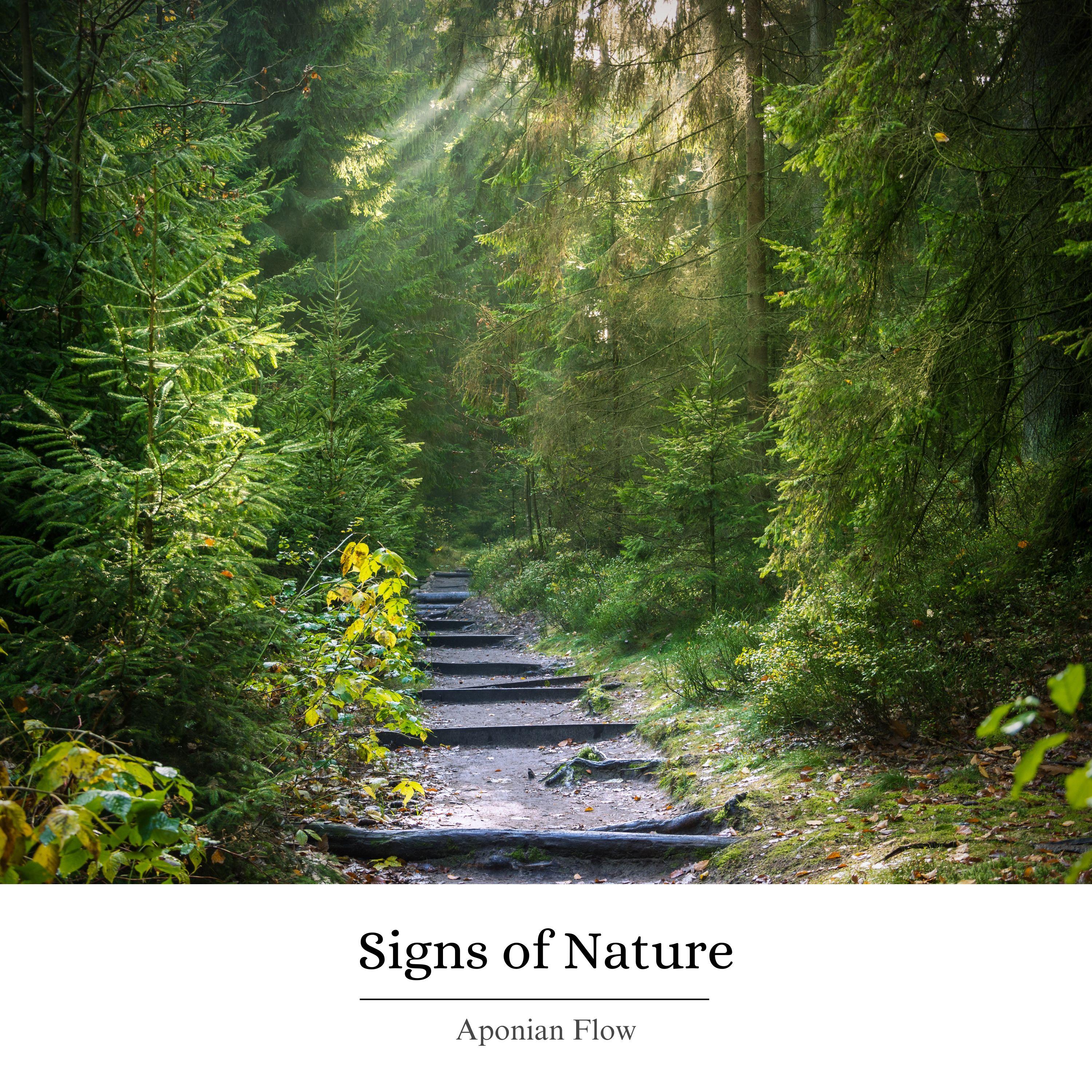 Signs of Nature