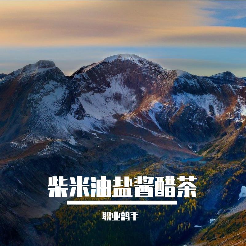 豪情震江湖封面