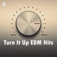 Turn it Up EDM Hits