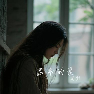 赐痛 (Cover 王鹤铮)封面