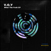 V.O.Y - What The **** (Original Mix)