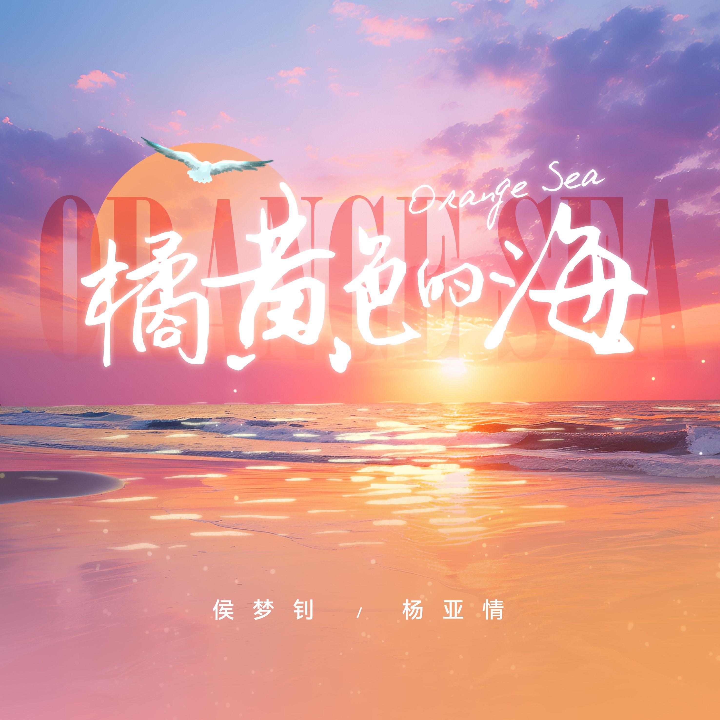 橘黄色的海封面
