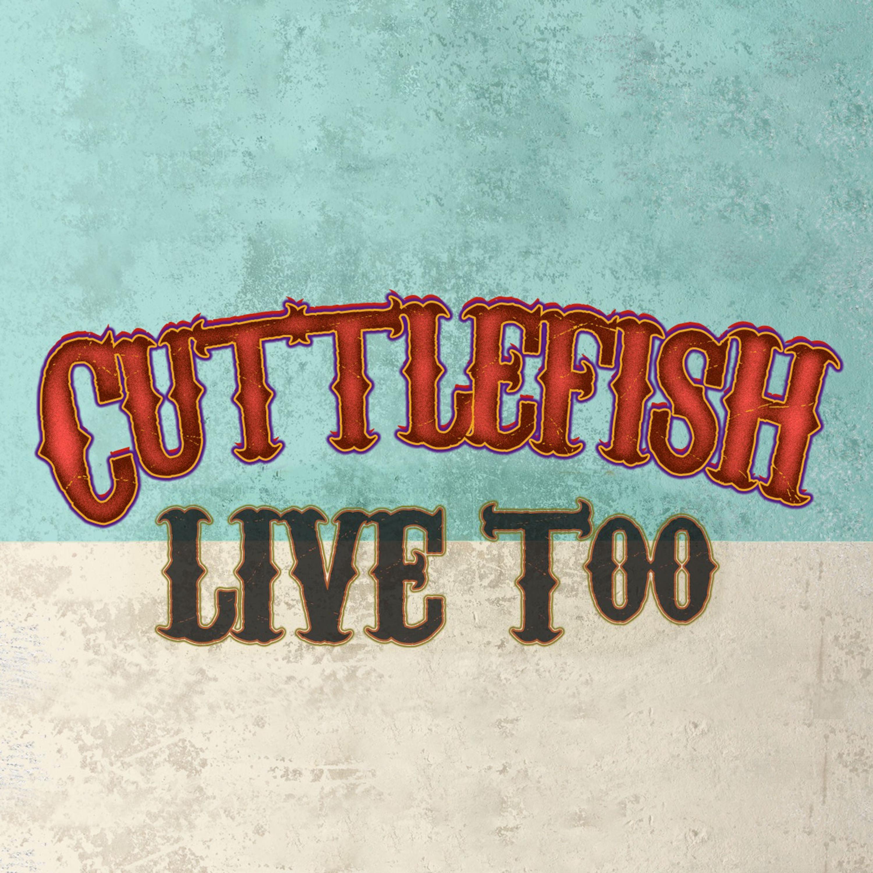 Sweet Little Wife of Mine (Live)