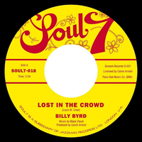 Lost in the Crowd