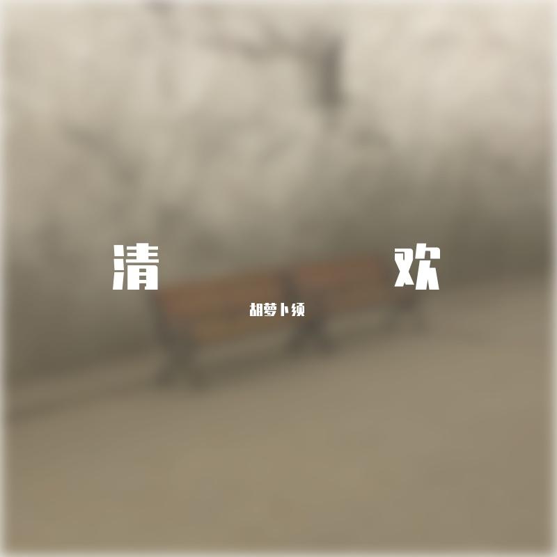 雪绒花(写给辛夷的歌)封面