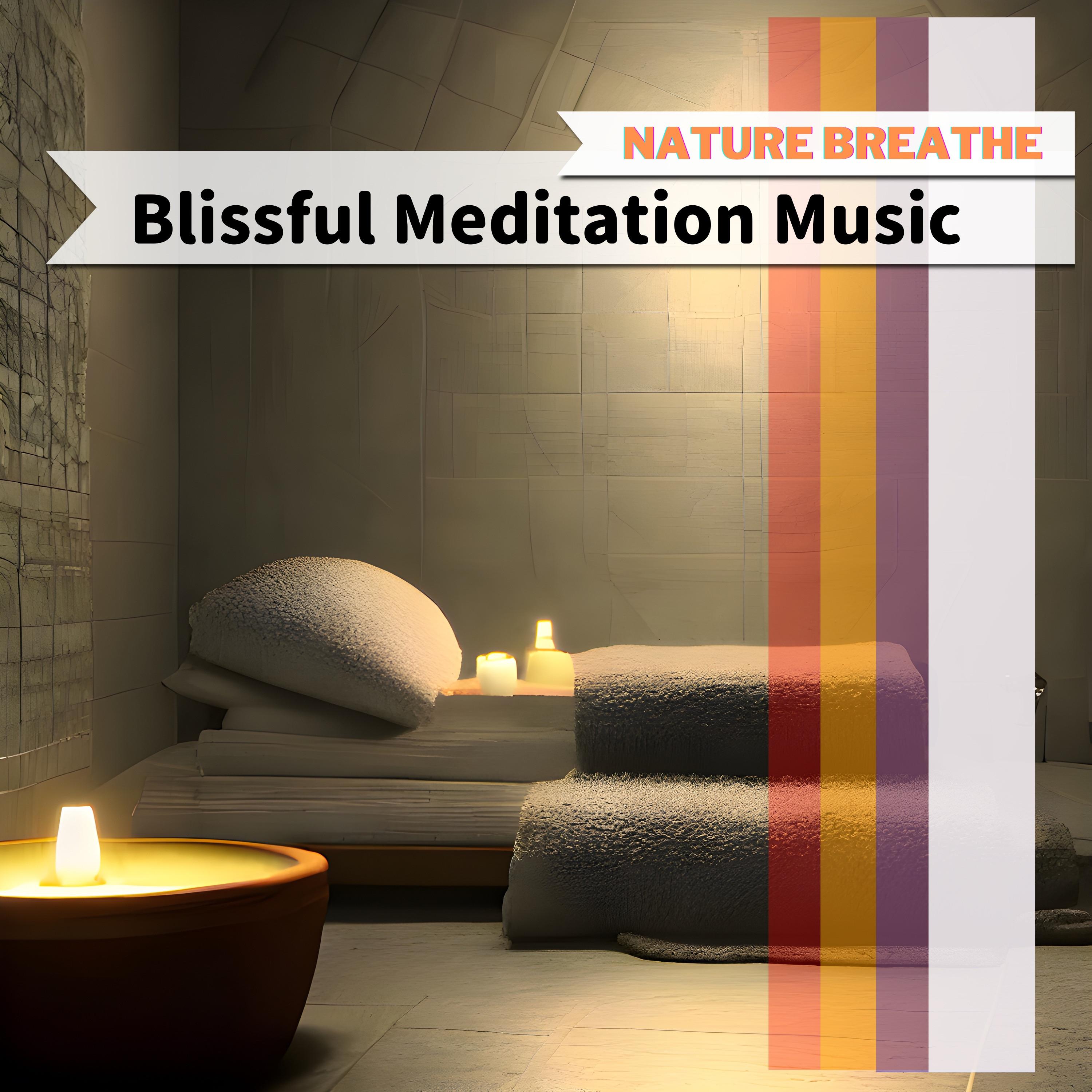 The One In the Shadows