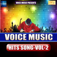 Voice Music Hits Vol - 2