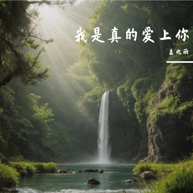 开始懂了封面