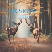 In Sight (Instrumental)