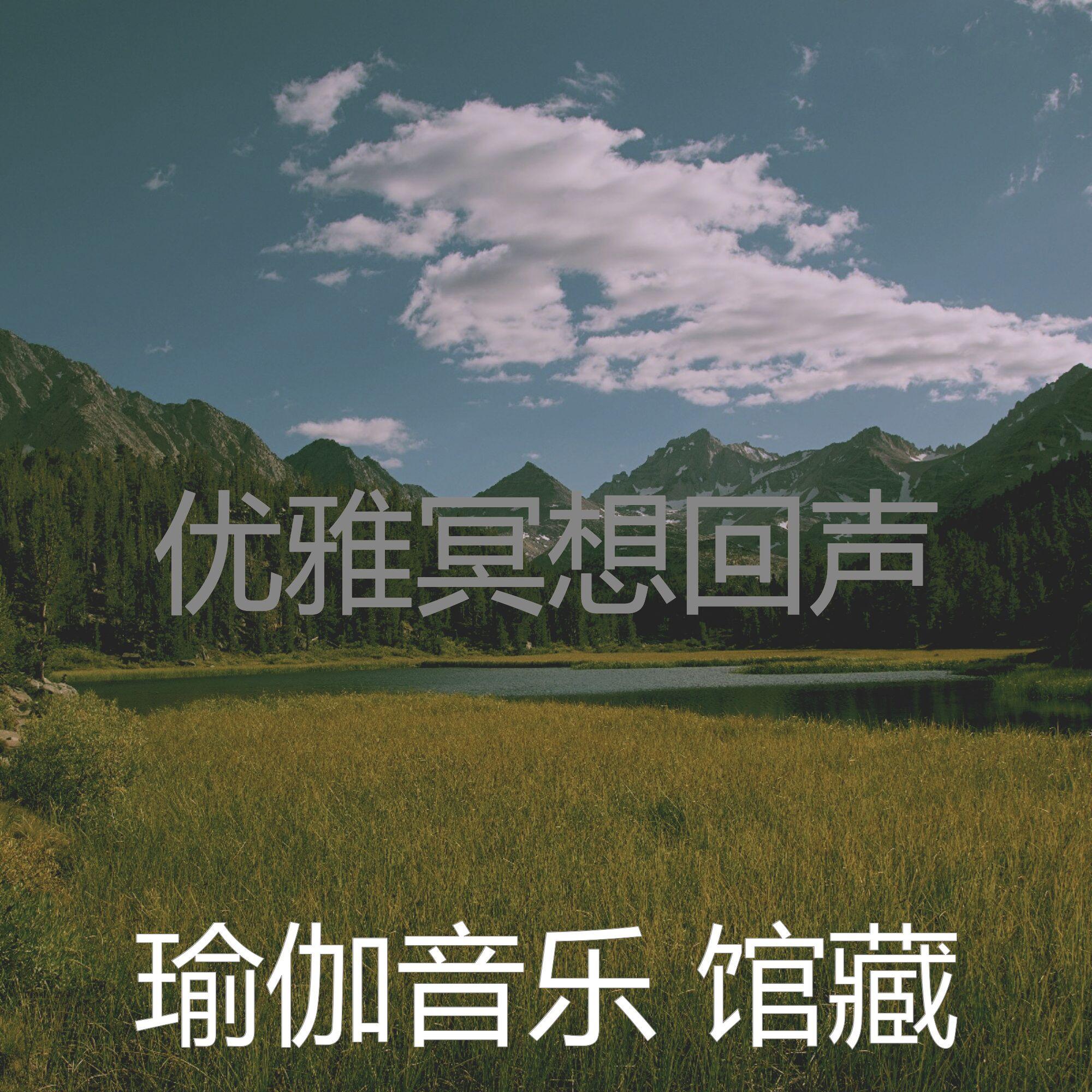 抚慰的养生回忆封面