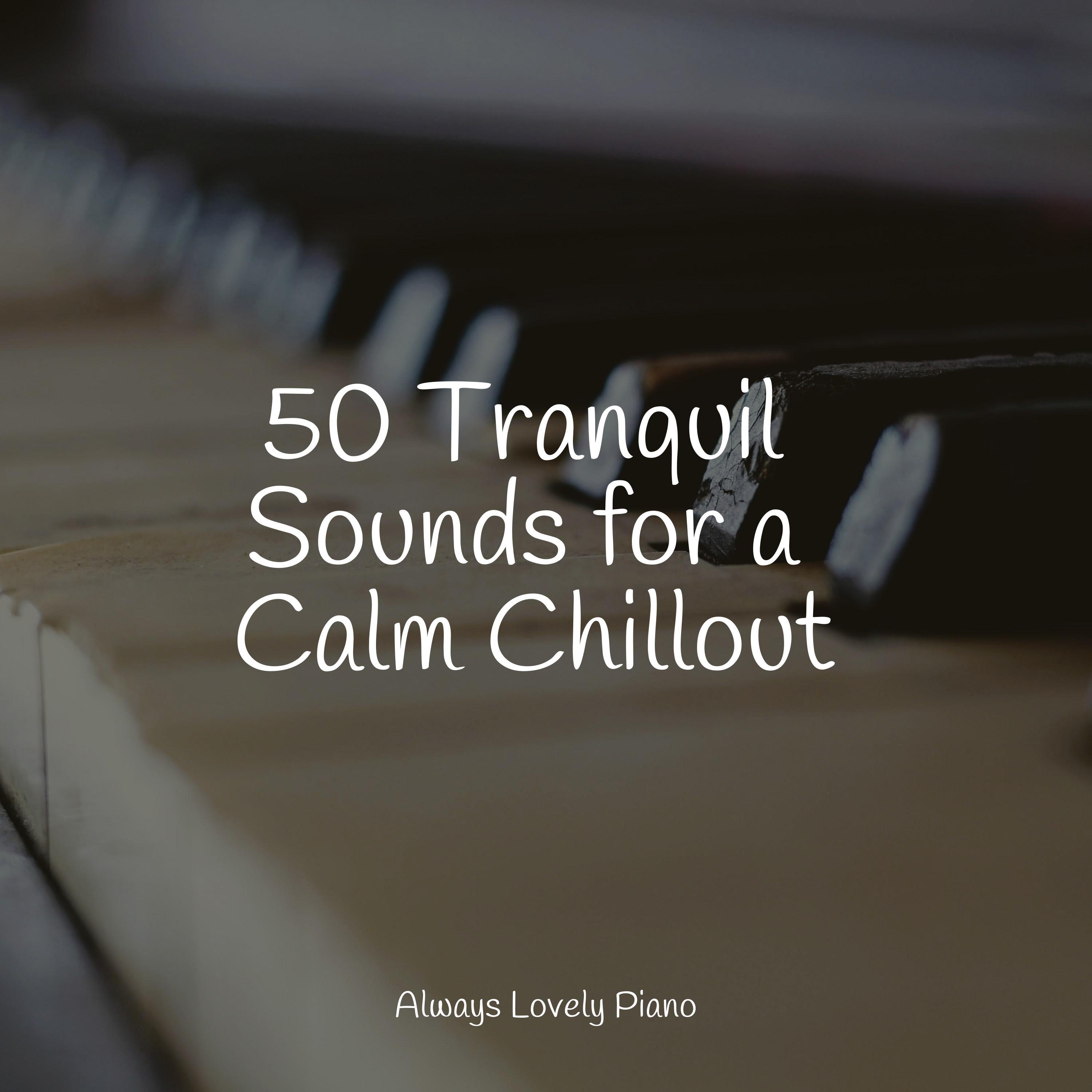 50 Piano Songs for Quiet Listening and Serenity - Study Piano - 专辑 - 网易云音乐