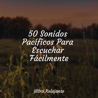 50 Sonidos Pacíficos Para Escuchar Fácilmente