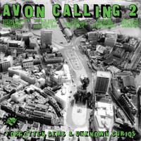 Avon Calling 2