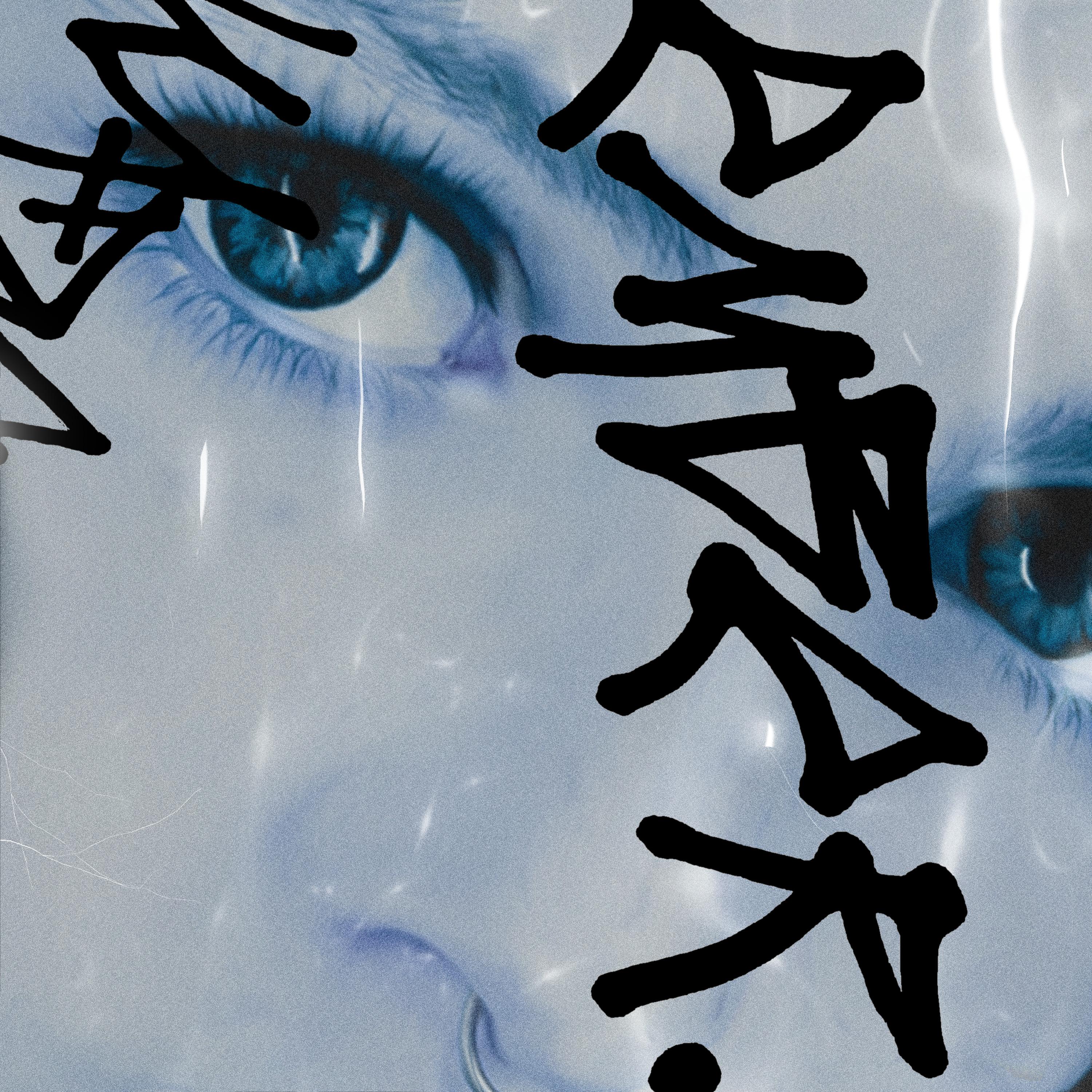 EMBER (crashed) (crashed)_PHOLO