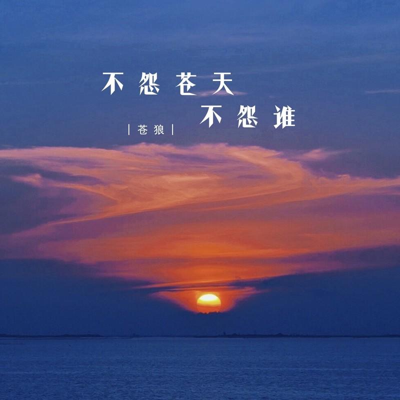 不怨苍天不怨谁 (DJ版)封面