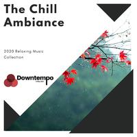 The Chill Ambiance: 2020 Relaxing Music Collection