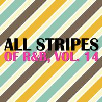 All Stripes of R&B, Vol. 14