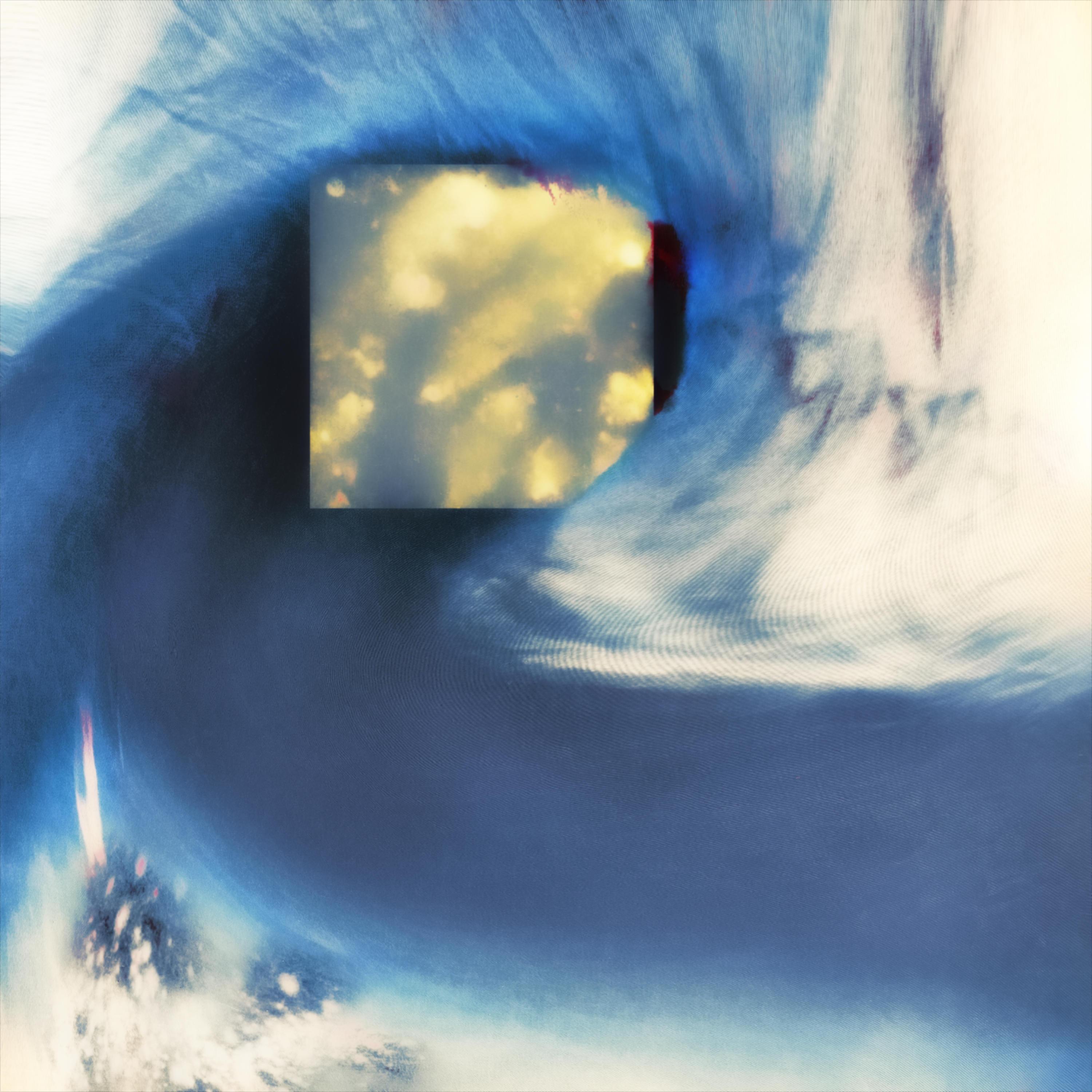 Swing Low, Forest Moon