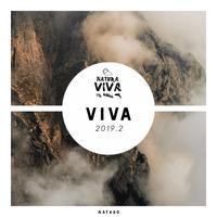 Viva 2019.2