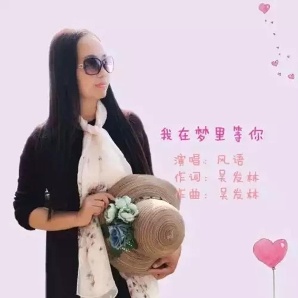 我在梦里等你 (吉特巴.吉利版) - 风语封面