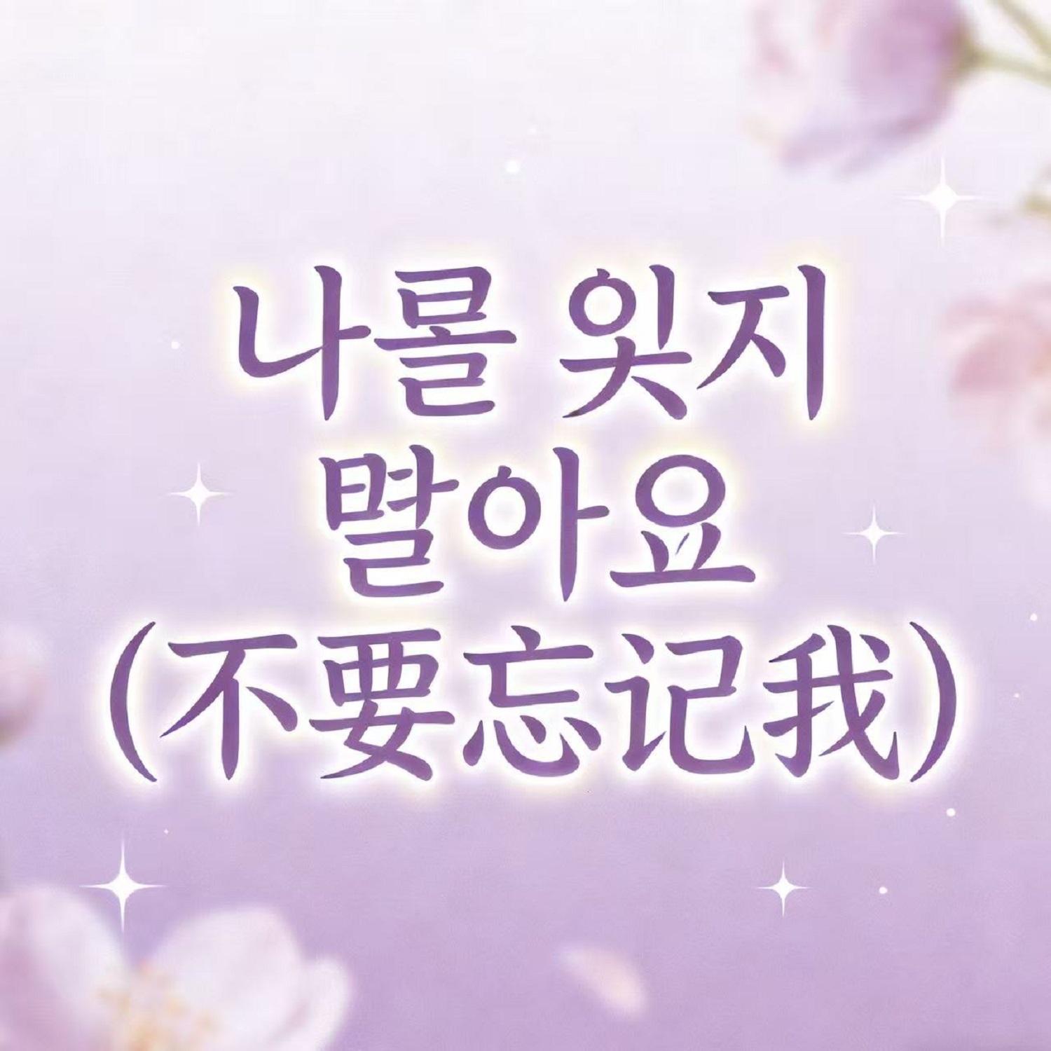 나를 잊지 말아요(不要忘记我) - 雪落下封面