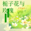 邵子陈 - 栀子花与玫瑰