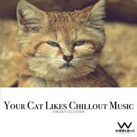 Your Cat Likes Chillout Music - Chillout Collection