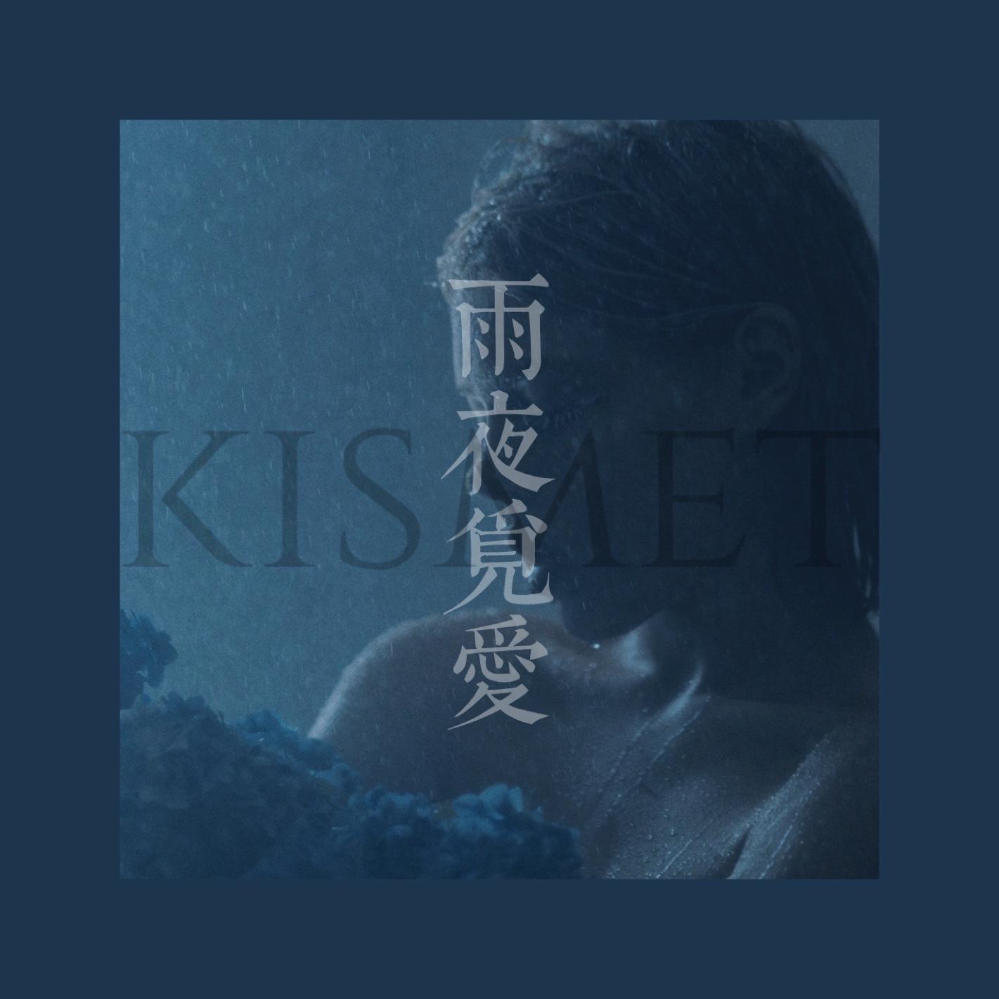 胡期皓-雨夜觅爱（Bisu-P remix）