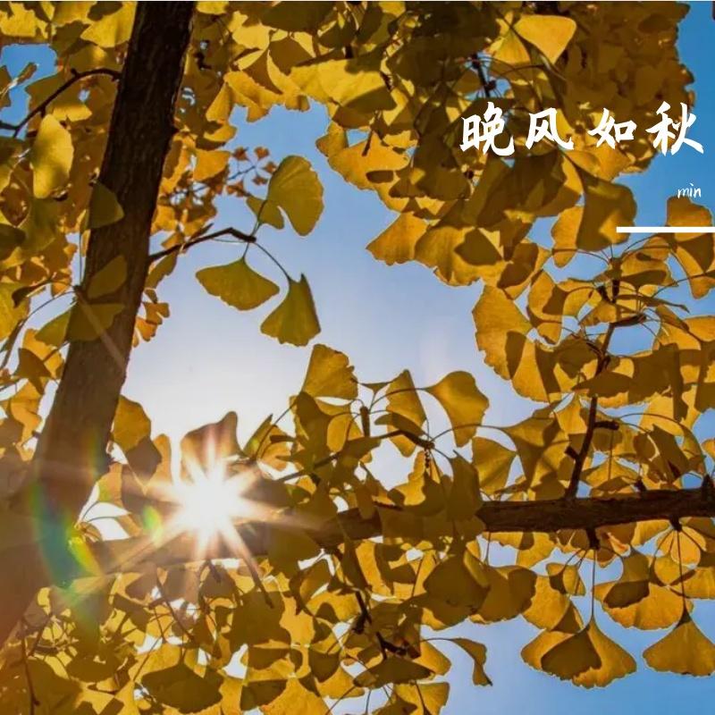清风调封面