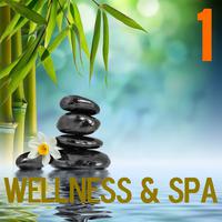 Wellness and Spa, Vol. 1