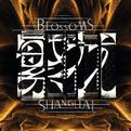 电视剧《繁花》官方OST、插曲、配乐 收录