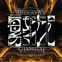 电视剧《繁花》官方OST、插曲、配乐 收录