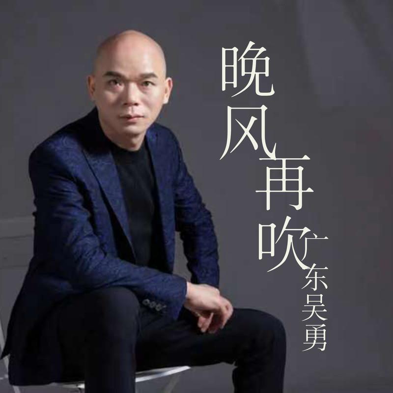 晚风再吹 (DJ九零版)封面