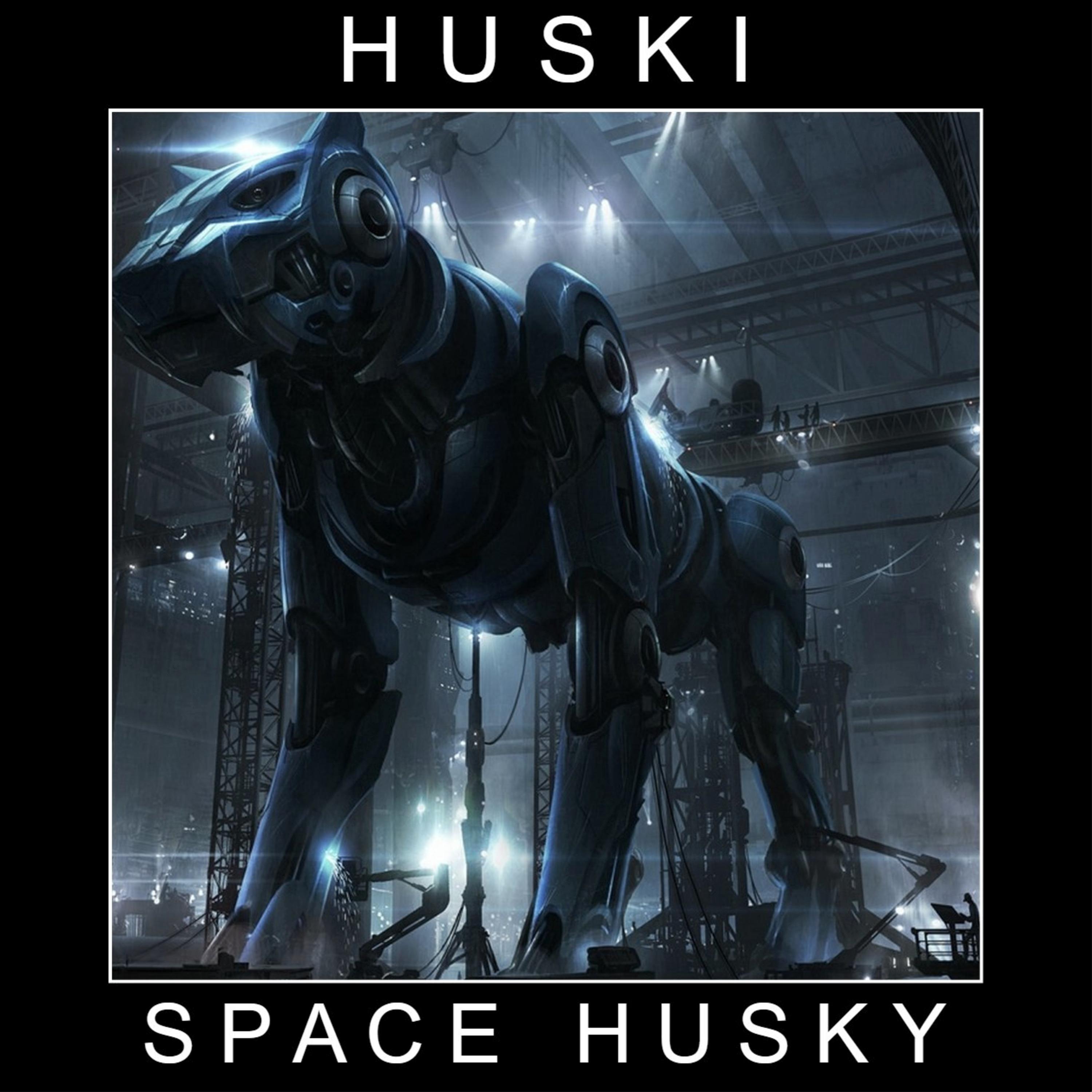 Space Husky